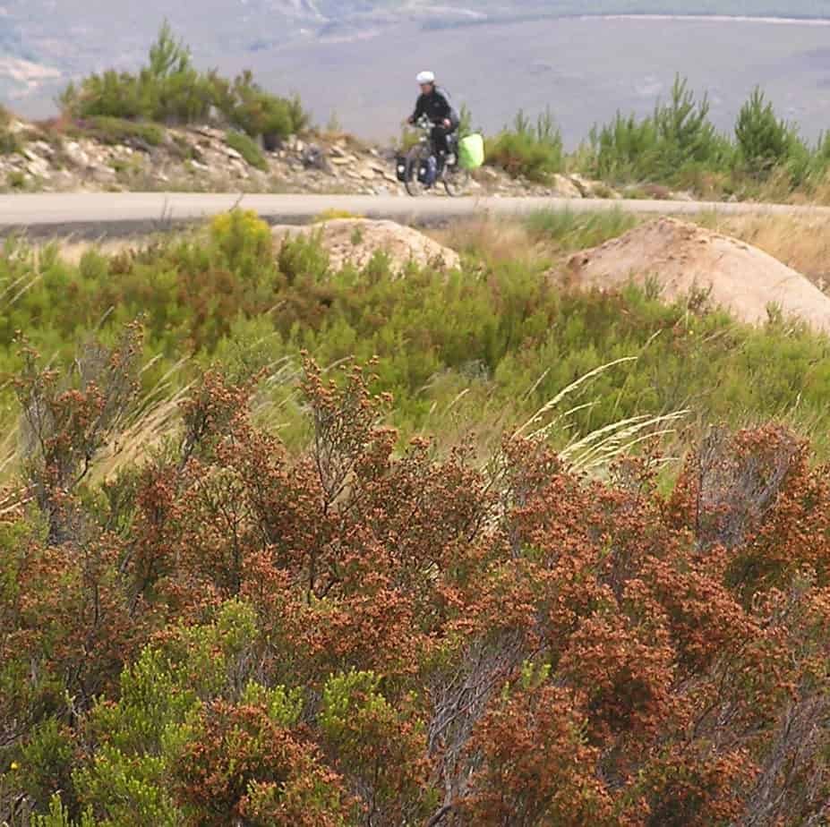 Van Canterbury naar Rome